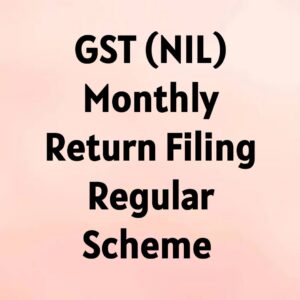 GST (Nil) Monthly Return Filing Regular Schemes