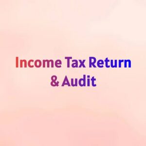 Income Tax Return & Audit
