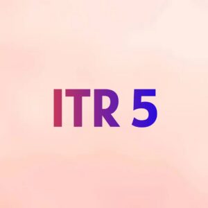 ITR 5 - ( For Firms/Limited Liabilities Partnership)